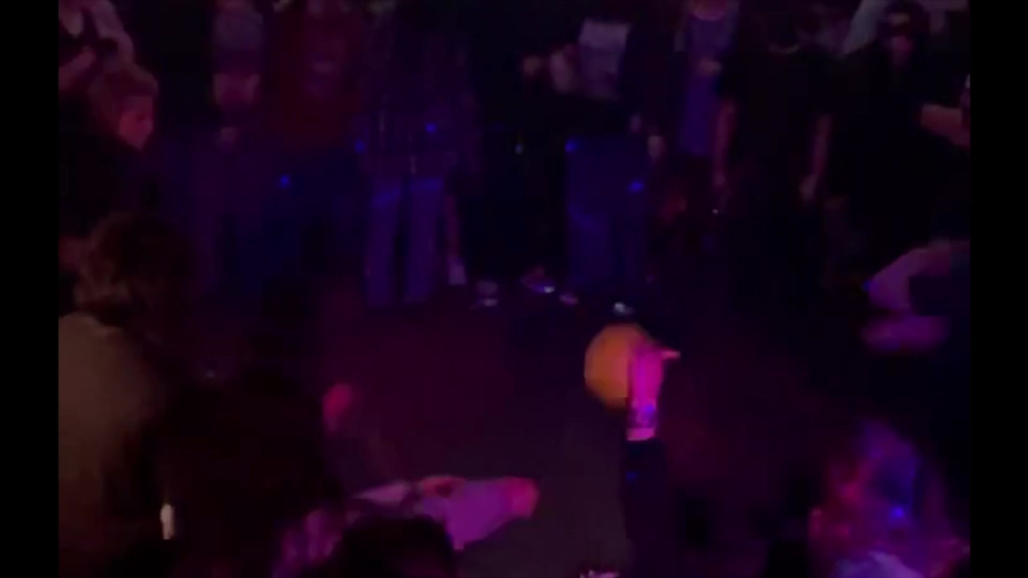 Litterbox Show